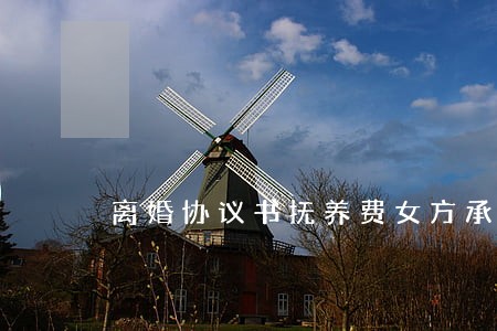离婚协议书抚养费女方承担