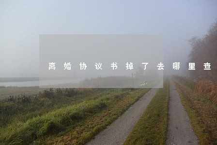 离婚协议书掉了去哪里查 离婚协议书掉了去哪里查