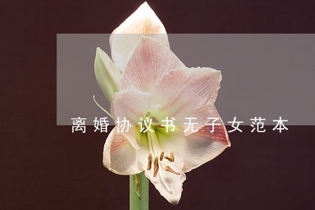 离婚协议书无子女范本 离婚协议书无子女范本