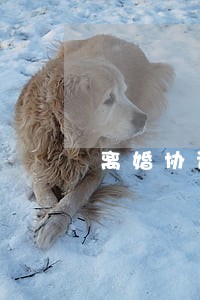 离婚协议书无财产无子女 离婚协议书无财产无子女