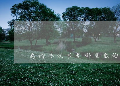 离婚协议书是哪里出的 离婚协议书是哪里出的