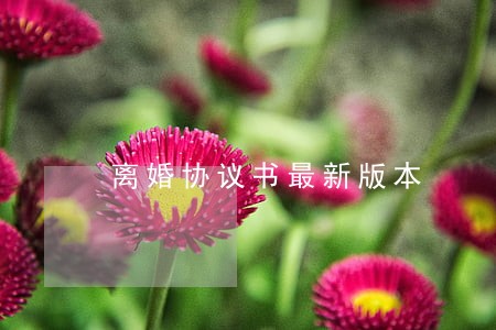 离婚协议书最新版本 离婚协议书最新版本