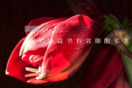 离婚协议书有效期限多久 离婚协议书有效期限多久