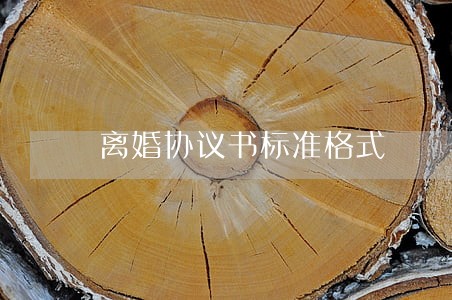 离婚协议书标准格式 离婚协议书标准格式