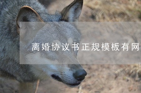 离婚协议书正规模板有网贷 离婚协议书正规模板有网贷