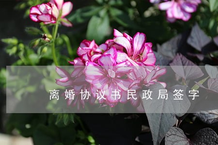 离婚协议书民政局签字 离婚协议书民政局签字