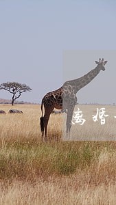 离婚协议书甘肃 离婚协议书甘肃