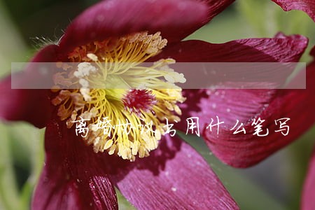 离婚协议书用什么笔写 离婚协议书用什么笔写