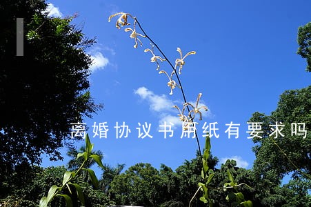 离婚协议书用纸有要求吗 离婚协议书用纸有要求吗