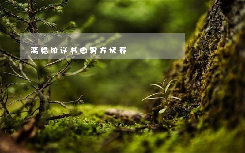 离婚协议书由男方抚养 离婚协议书由男方抚养