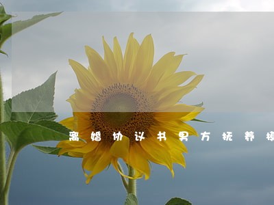 离婚协议书男方抚养模板 离婚协议书男方抚养模板