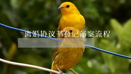 离婚协议书登记备案流程