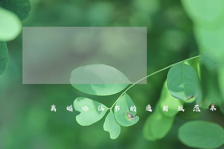 离婚协议书的通用版范本 离婚协议书的通用版范本