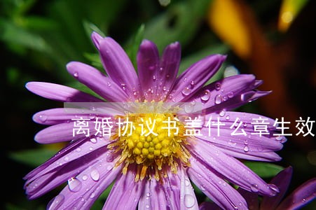 离婚协议书盖什么章生效 离婚协议书盖什么章生效