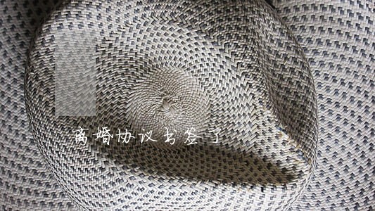 离婚协议书签了 离婚协议书签了