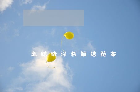 离婚协议书简洁范本 离婚协议书简洁范本
