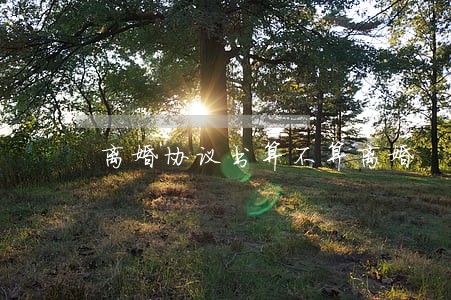 离婚协议书算不算离婚