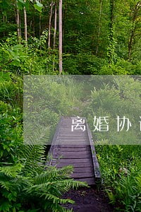 离婚协议书纠纷怎么解决 离婚协议书纠纷怎么解决
