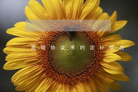 离婚协议书约定补偿款 离婚协议书约定补偿款
