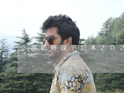 离婚协议书范本2020 离婚协议书范本2020