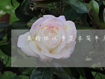 离婚协议书范本简单点 离婚协议书范本简单点