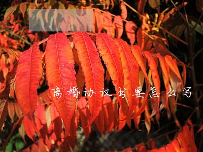 离婚协议书要怎么写 离婚协议书要怎么写