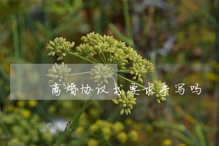 离婚协议书要求手写吗 离婚协议书要求手写吗