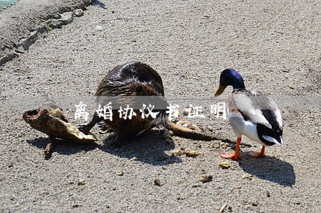 离婚协议书证明 离婚协议书证明