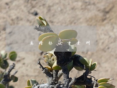 离婚协议书贵州