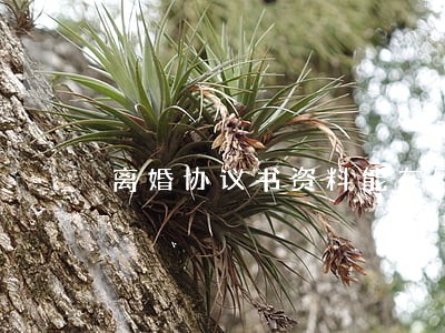 离婚协议书资料能在网上 离婚协议书资料能在网上