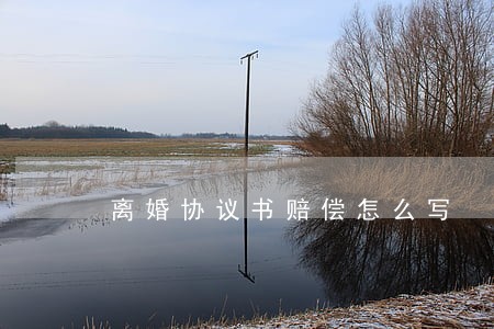 离婚协议书赔偿怎么写