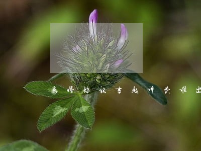 离婚协议书起诉费谁出