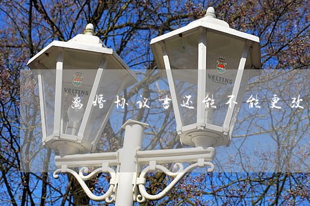 离婚协议书还能不能更改 离婚协议书还能不能更改