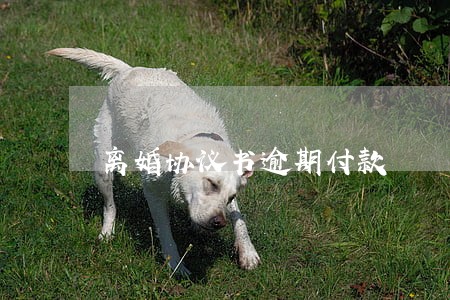离婚协议书逾期付款