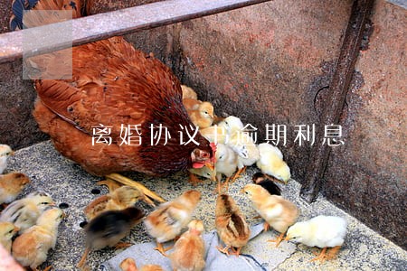 离婚协议书逾期利息 离婚协议书逾期利息