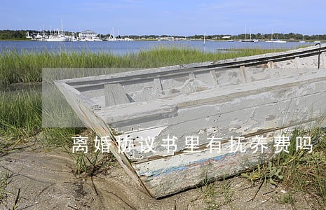 离婚协议书里有抚养费吗 离婚协议书里有抚养费吗