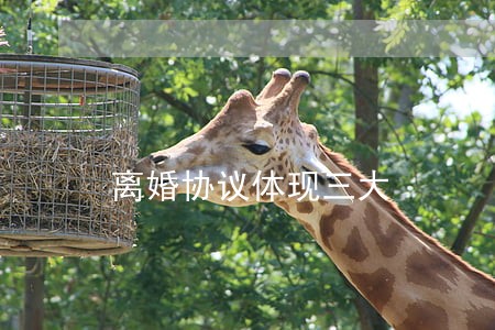 离婚协议体现三大