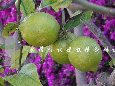 离婚协议债权债务确认书 离婚协议债权债务确认书
