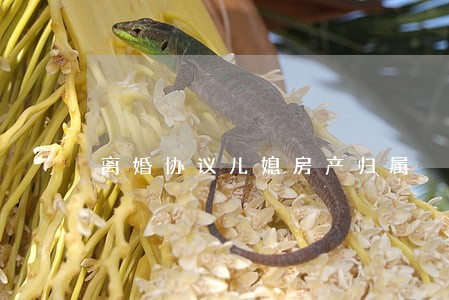 离婚协议儿媳房产归属 离婚协议儿媳房产归属