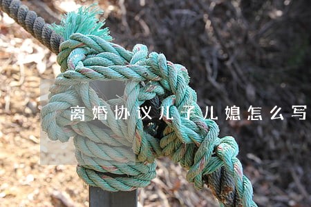 离婚协议儿子儿媳怎么写 离婚协议儿子儿媳怎么写