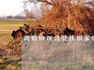 离婚协议公婆找娘家借钱 离婚协议公婆找娘家借钱