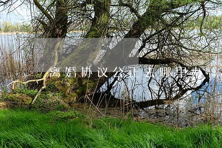 离婚协议公正去哪里办 离婚协议公正去哪里办