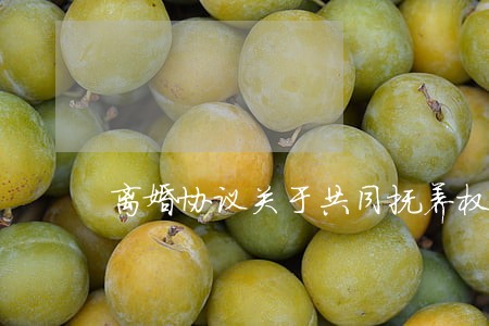 离婚协议关于共同抚养权 离婚协议关于共同抚养权
