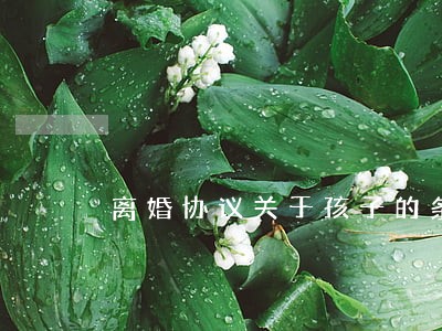 离婚协议关于孩子的条款有哪些 离婚协议关于孩子的条款有哪些