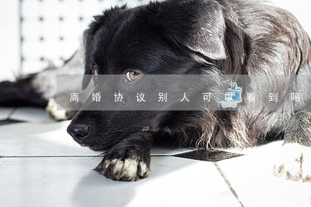 离婚协议别人可以看到吗 离婚协议别人可以看到吗
