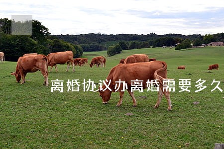 离婚协议办离婚需要多久 离婚协议办离婚需要多久