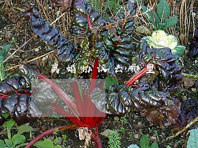 离婚协议去哪里 离婚协议去哪里