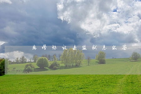 离婚协议去监狱怎么签