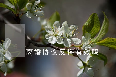 离婚协议反悔有效吗 离婚协议反悔有效吗