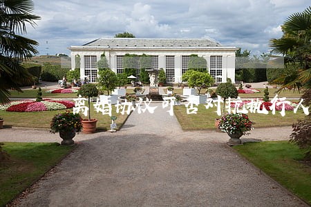 离婚协议可否对抗执行人 离婚协议可否对抗执行人